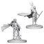 Nolzurs Marvelous Miniatures - Elf Druid - Female